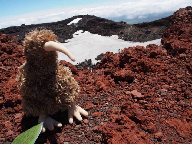 I wonder how many times Kevin has been up to the Ngauruhoe crater?